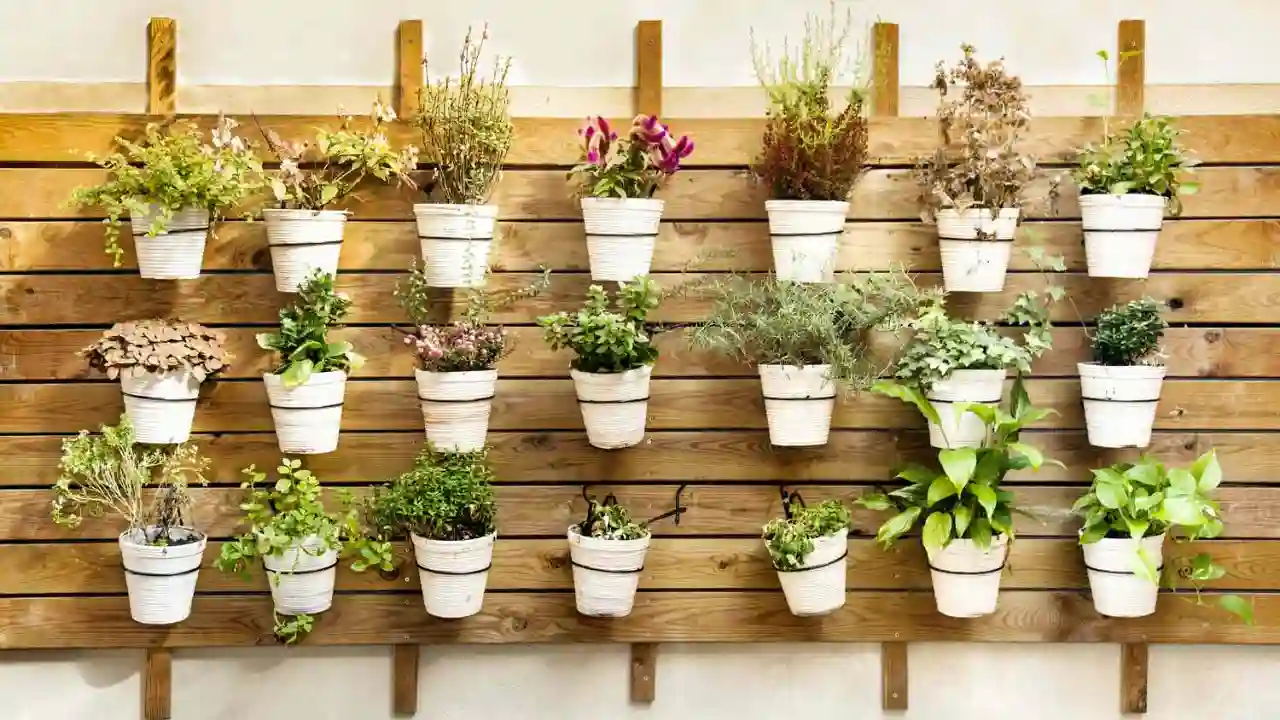 Patio wall planters