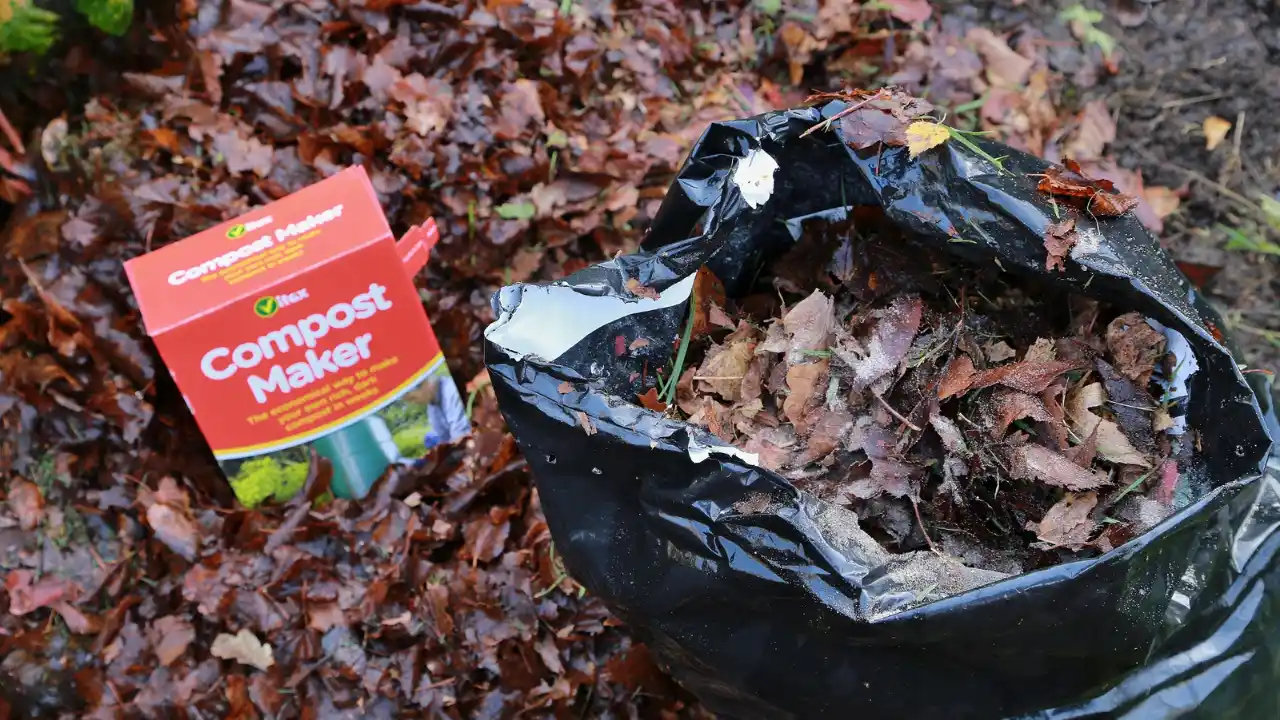 What Is Black Bag Composting? 1 Perfect conditions for black bag composting