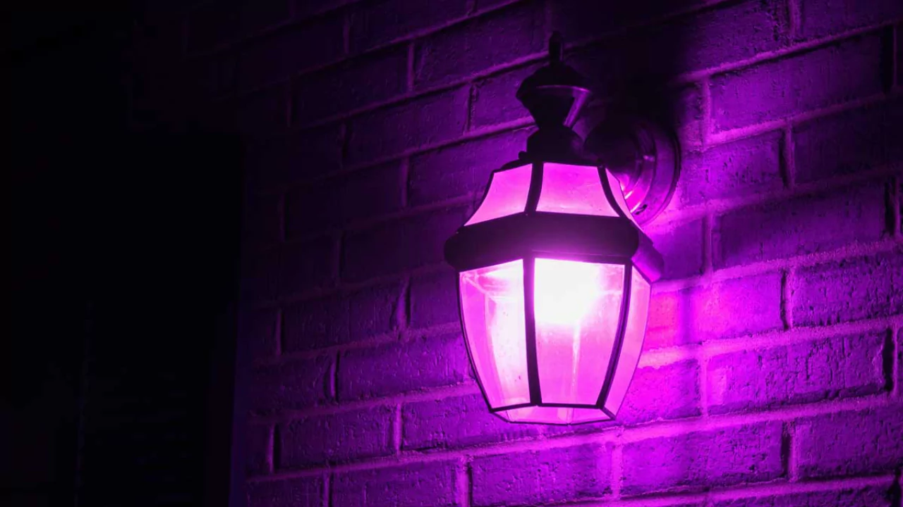 Porch light purple meaning