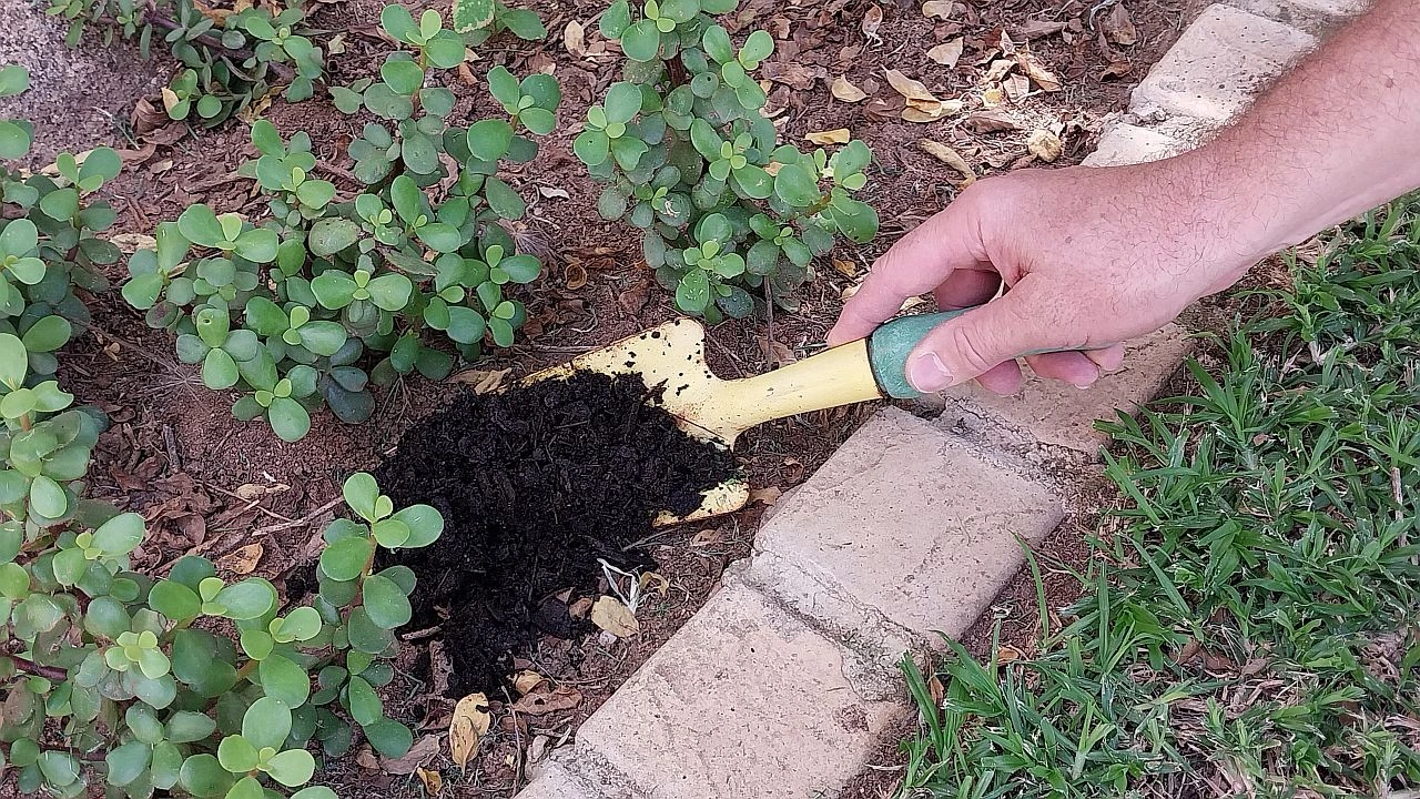 How Much Does a Cubic Yard of Topsoil Weigh