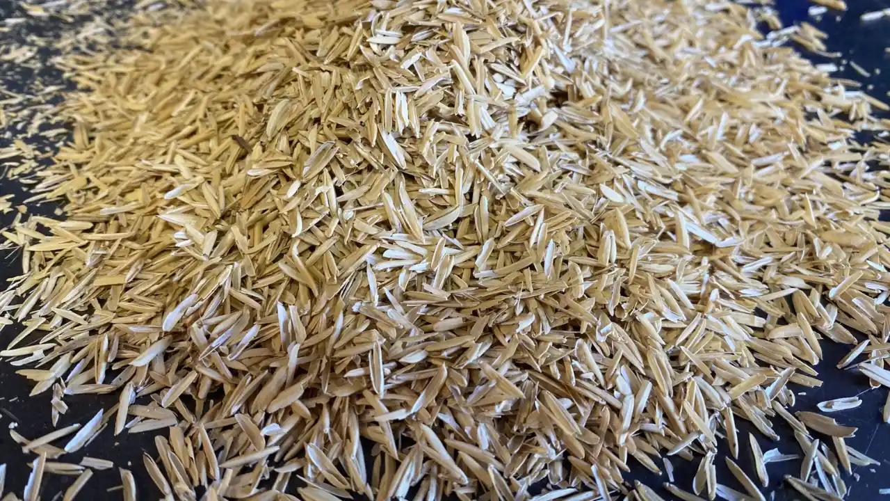 Rice hulls environment facts