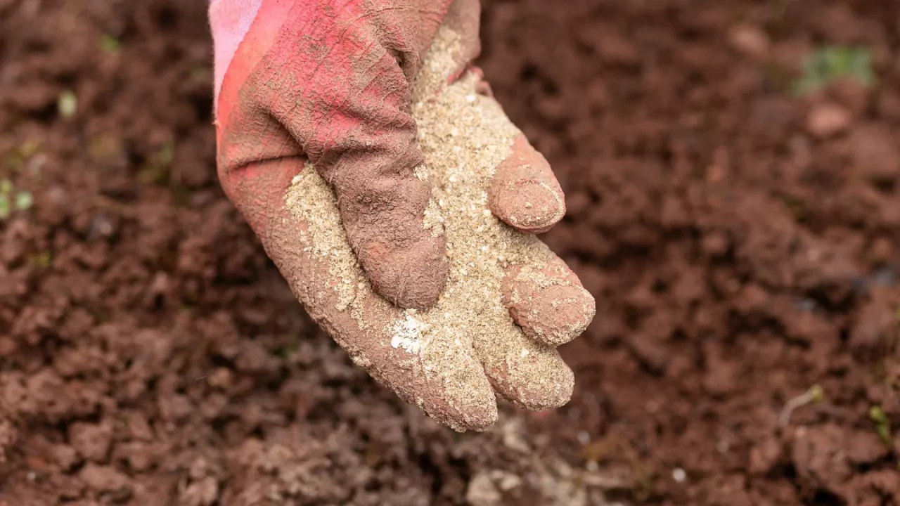 Risks To Using Bone Meal