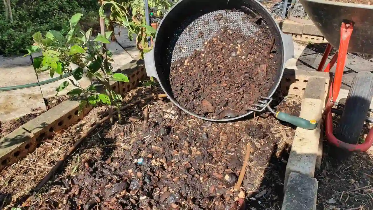 Save your time with ready made worm castings