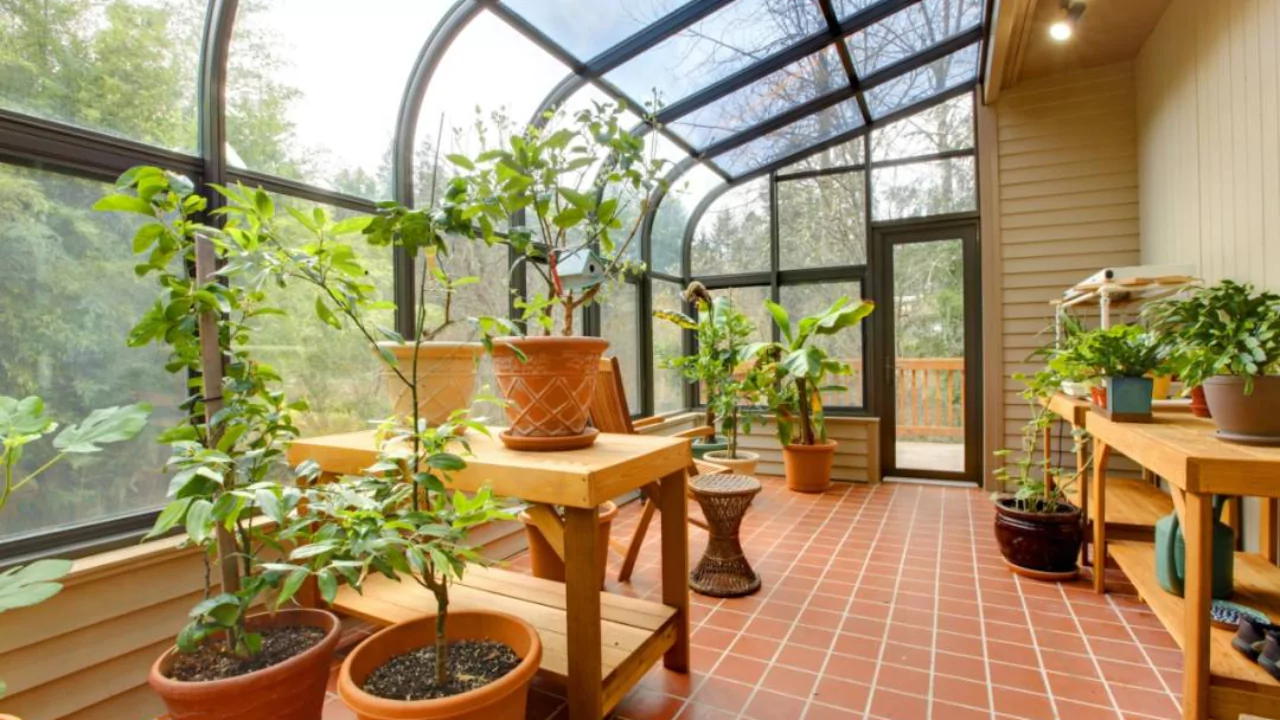 Solarium Vs Sunroom