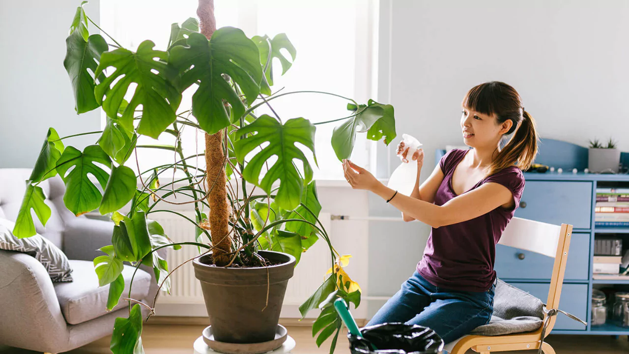 Some plants need more care than others 2