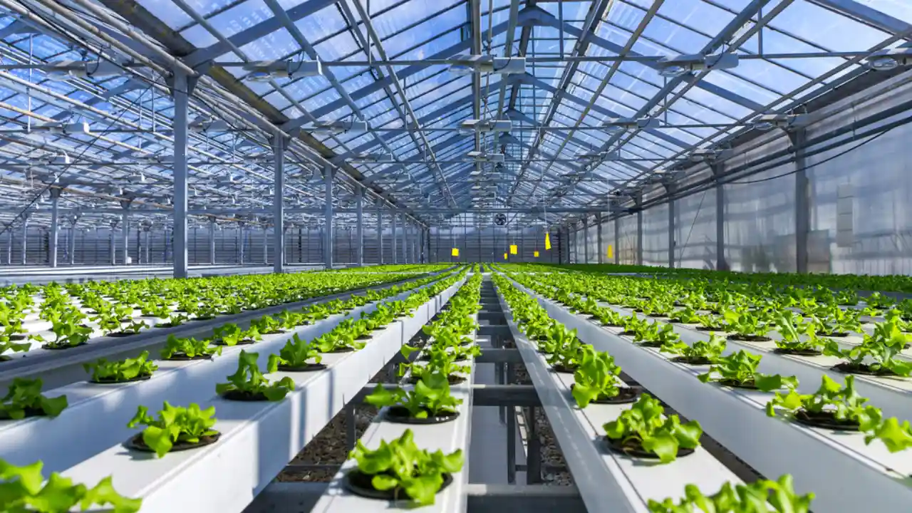 System control hydroponics