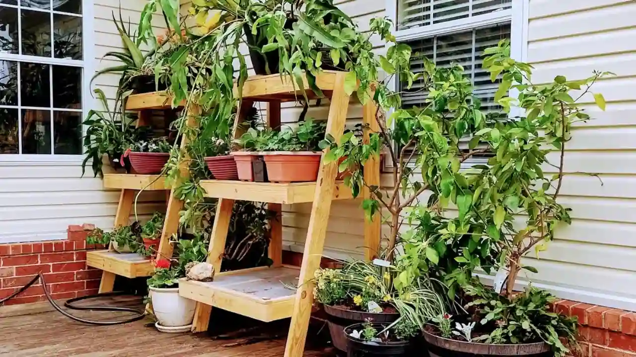 Tiered plant stands add more depth to a small patio
