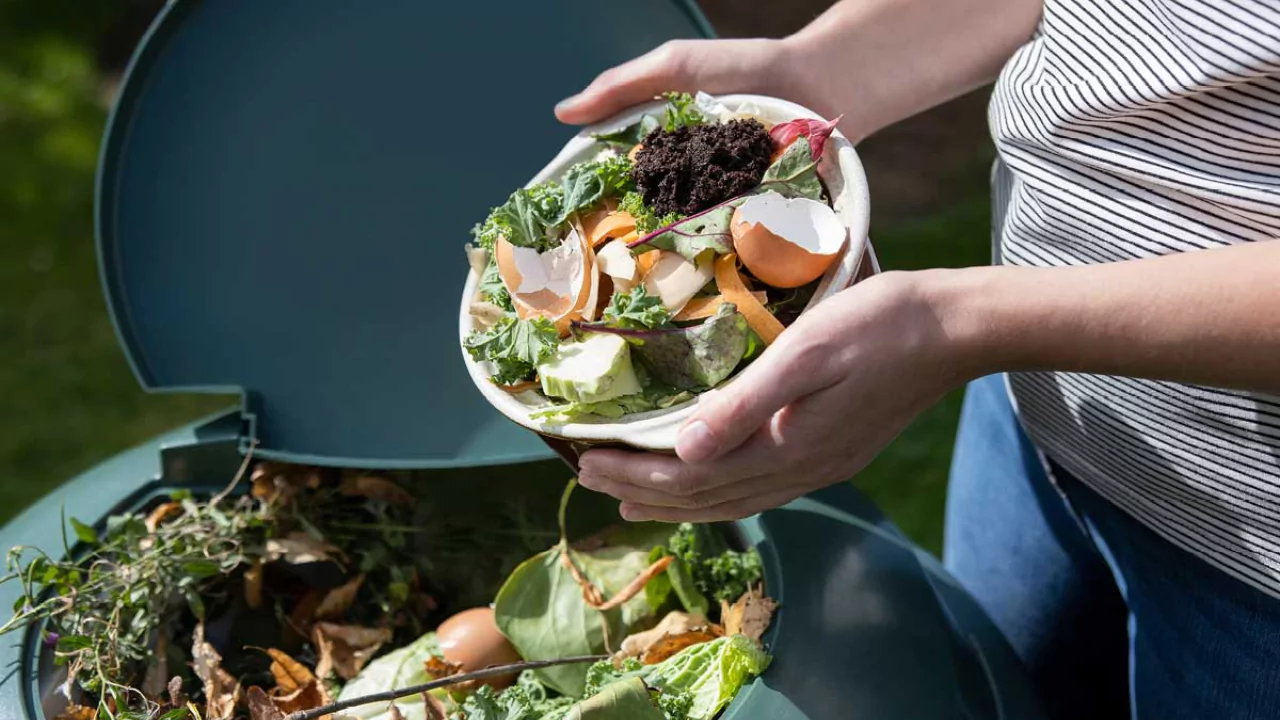 What Is Black Bag Composting