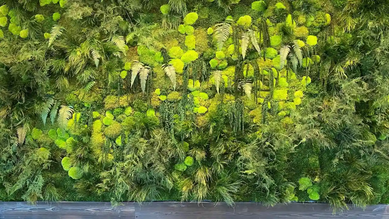 Types of moss walls
