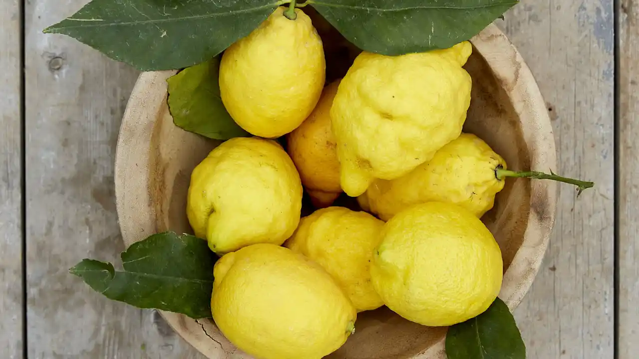 Un waxed organic lemon