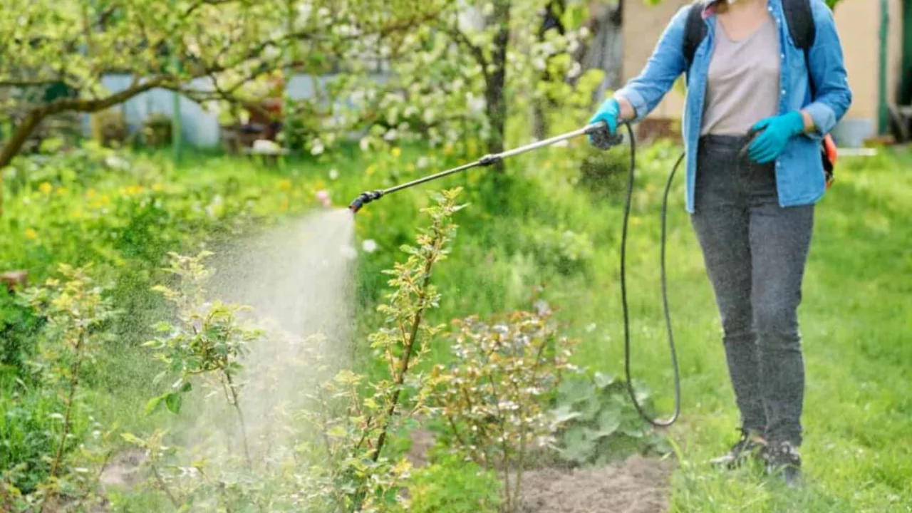 Does Sevin Kill Spotted Lanternfly