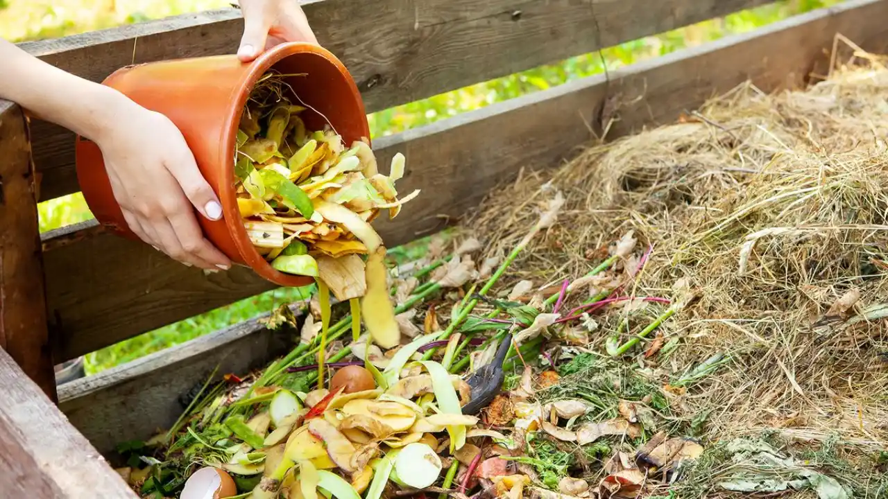 The 6 Best Compost Accelerators (Off The Shelf, Organic, And Homemade) 2 Using homemade compost accelerators