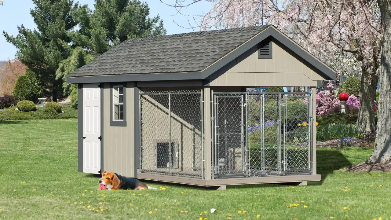 7 Amazing Backyard Dog Kennel Ideas 1 Villa Dog Kennel
