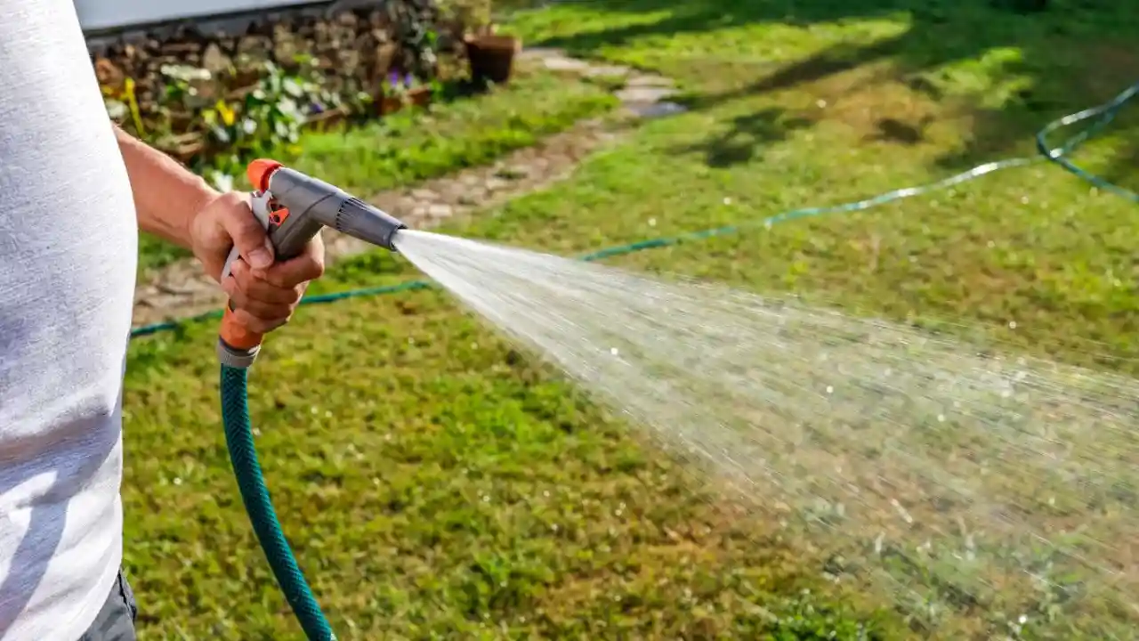 Do Grass Seeds Need to Be Buried? 3 Watering grass seeds 1