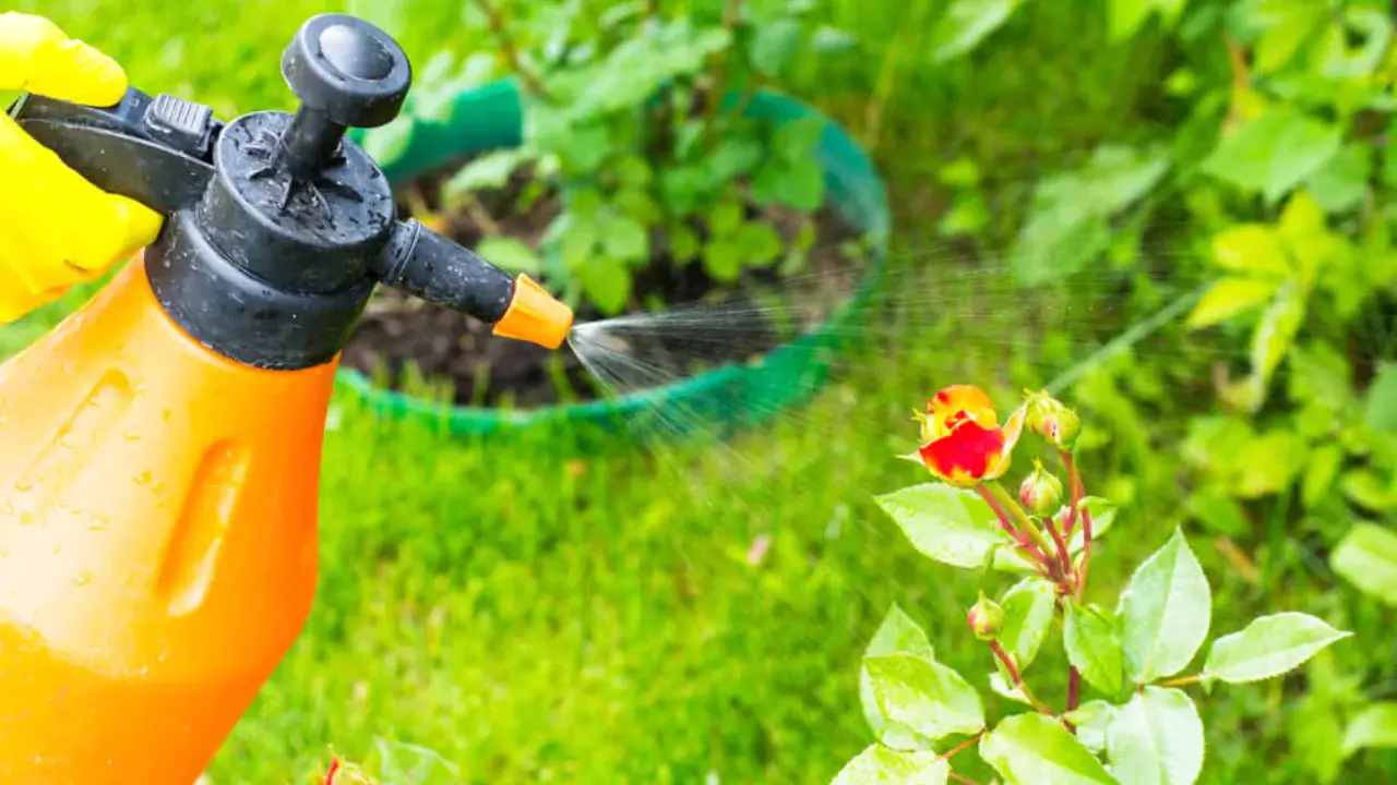 Is It Really Possible To Kill A Tree With Bleach