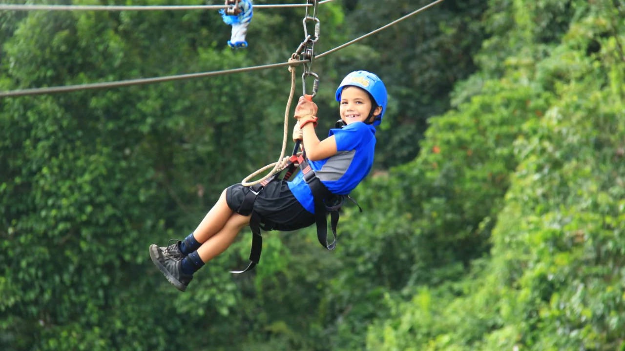 How to Create a Kid-friendly Backyard Without Grass 1 Ziplines for kids
