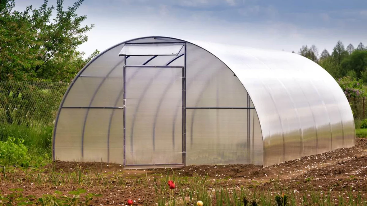 Can You Keep Bees In a Greenhouse? (All You Need to Know) 3 greenhouse
