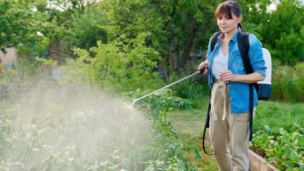 Best Organic Insecticide for Vegetable Garden 3 manufacturers instructions