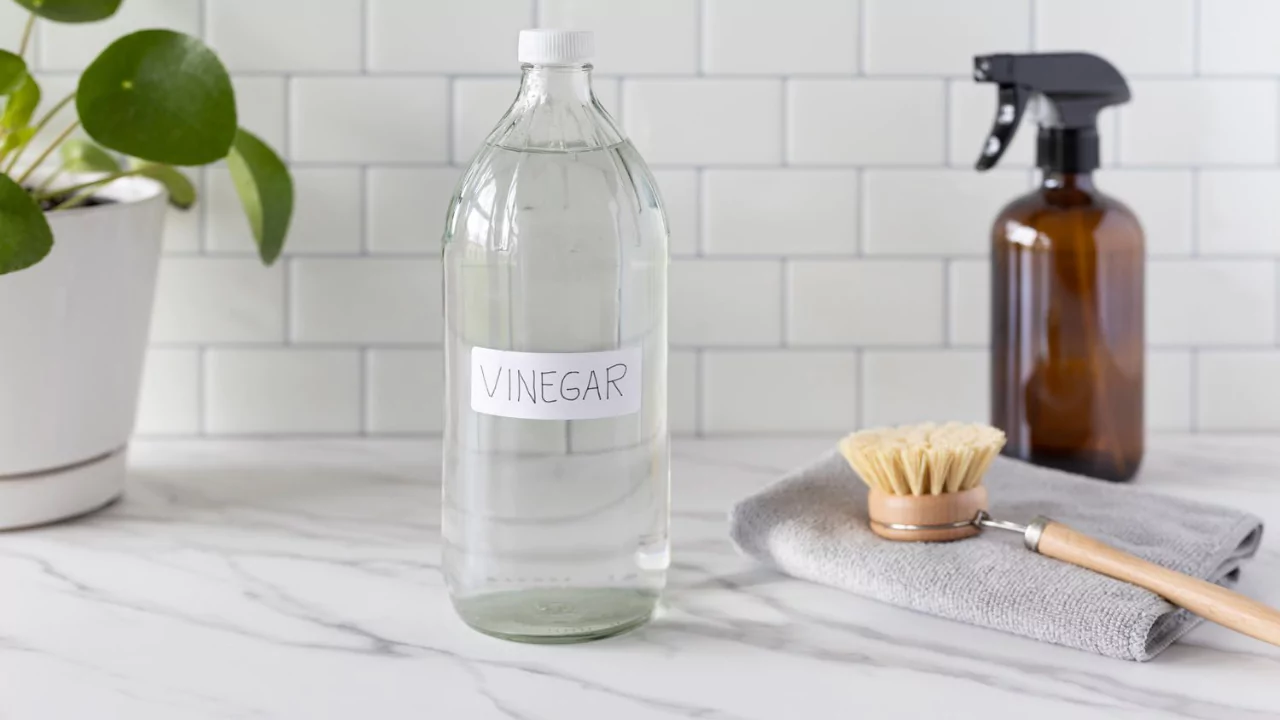 Do Weeds Grow In Sand? How to Stop Them 1 vinegar