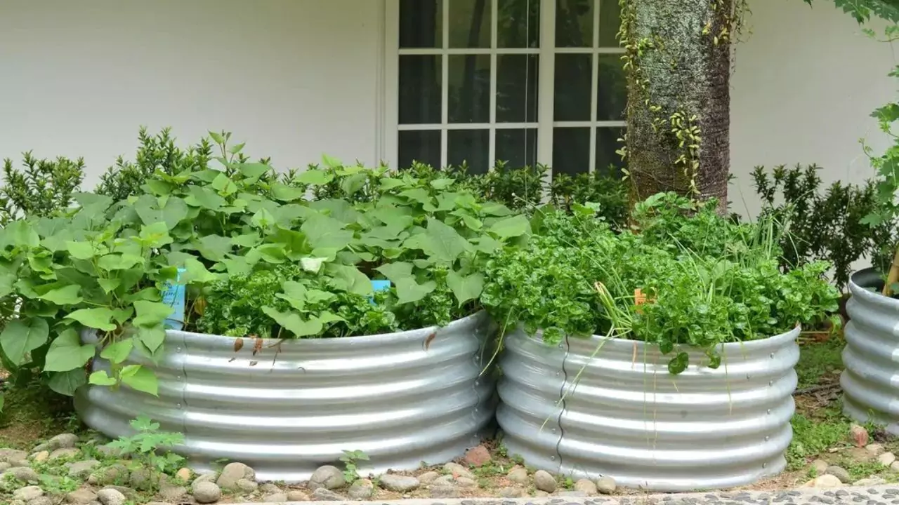 Round Corrugated Metal Planters (everything You Need to Know) 2 Advantages of Round Corrugated
