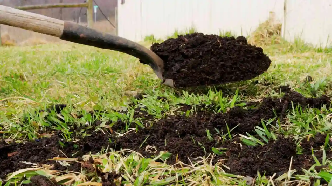 How Much Compost to Mix with Soil 2 Apply compost to the lawn
