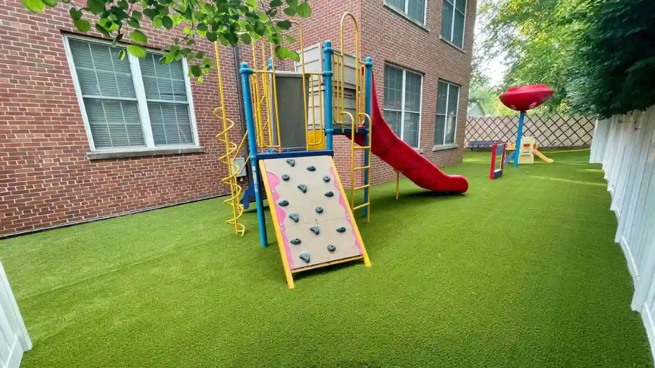 Artificial grass for backyard 1