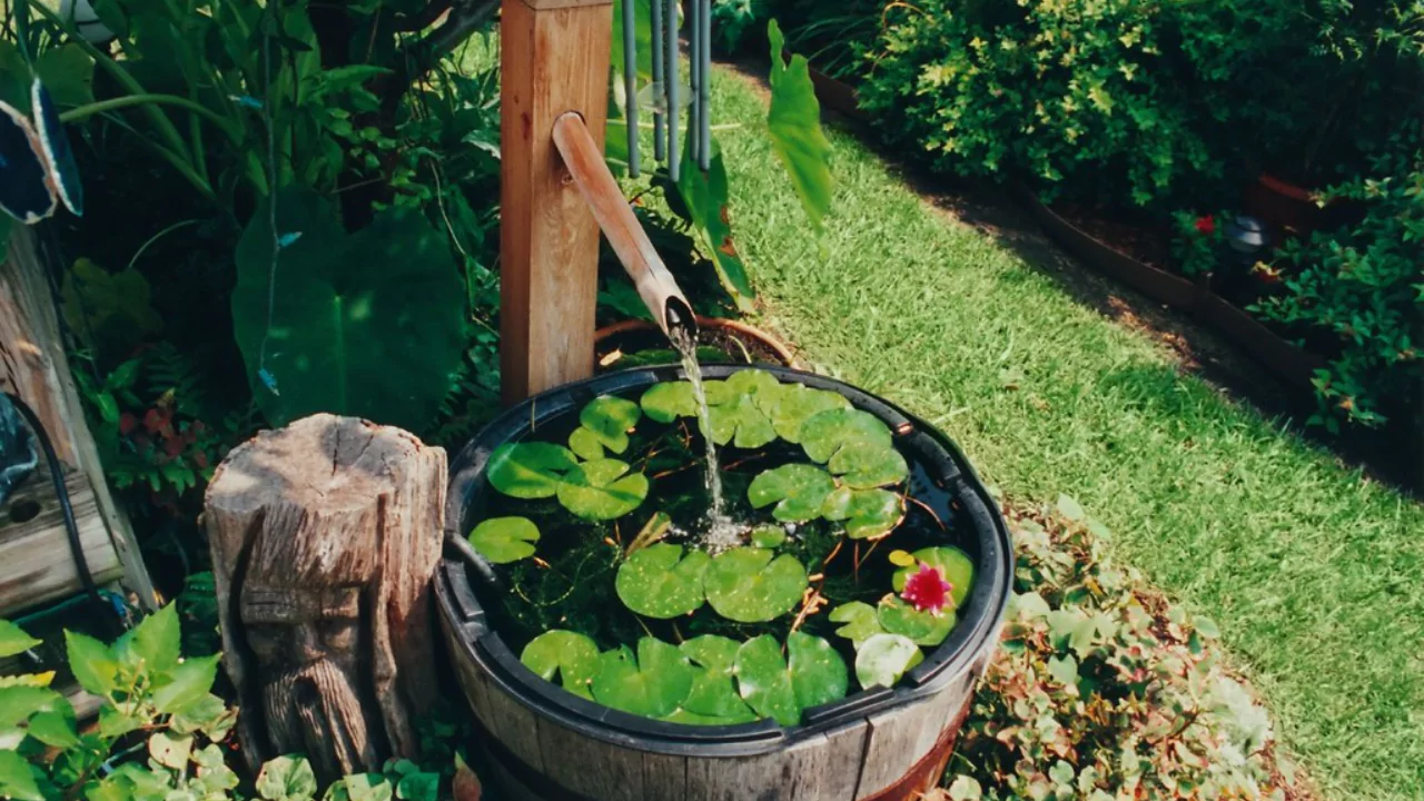 Barrel pond