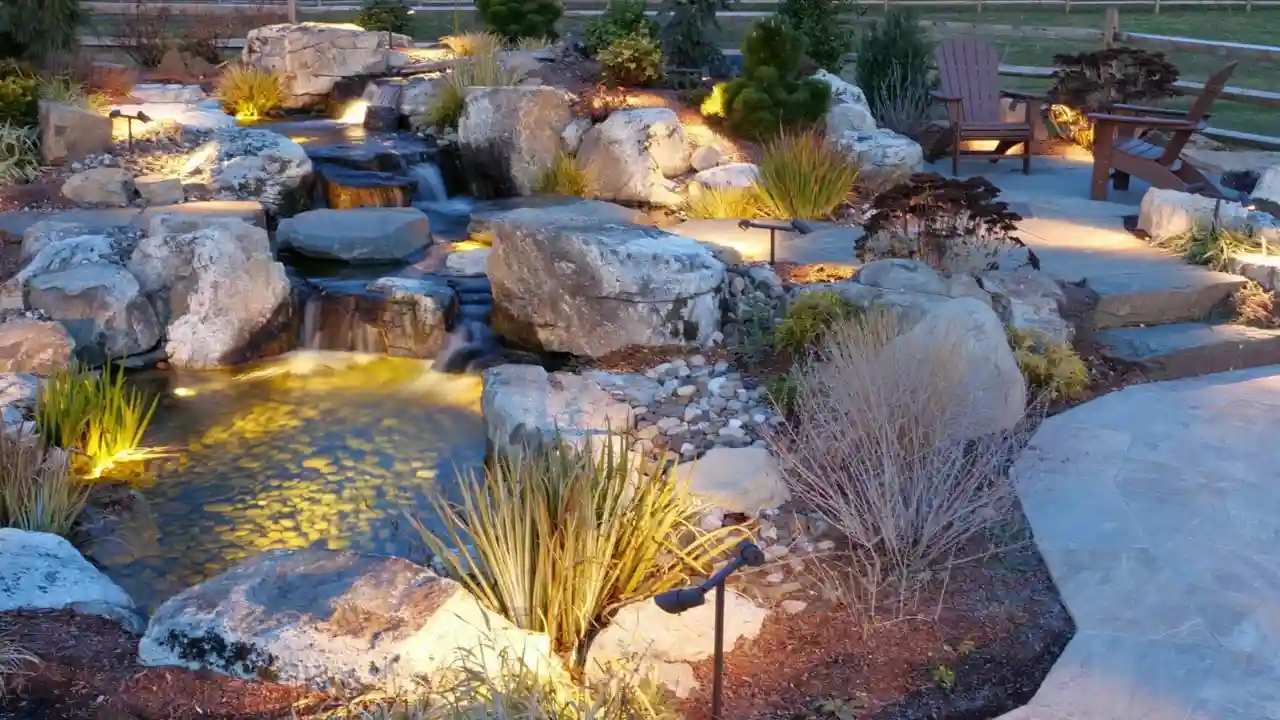 Beautiful garden pond at night