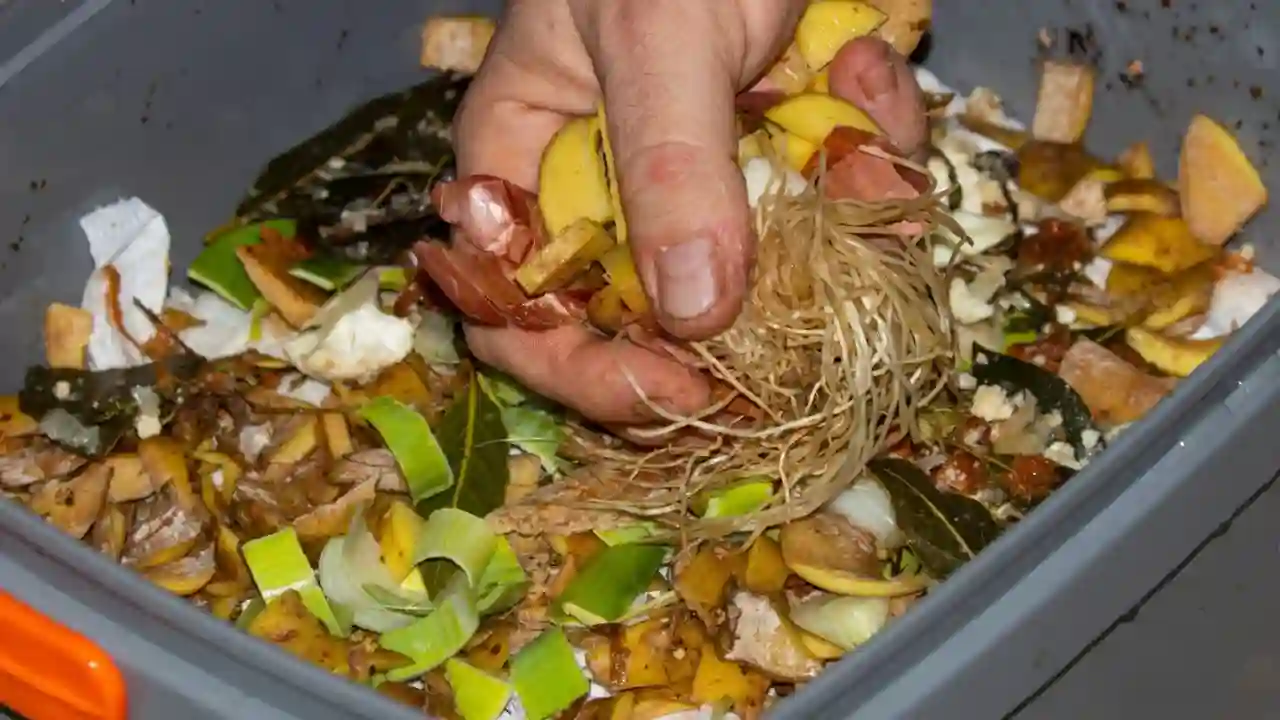 Adding Bokashi to Compost Bin