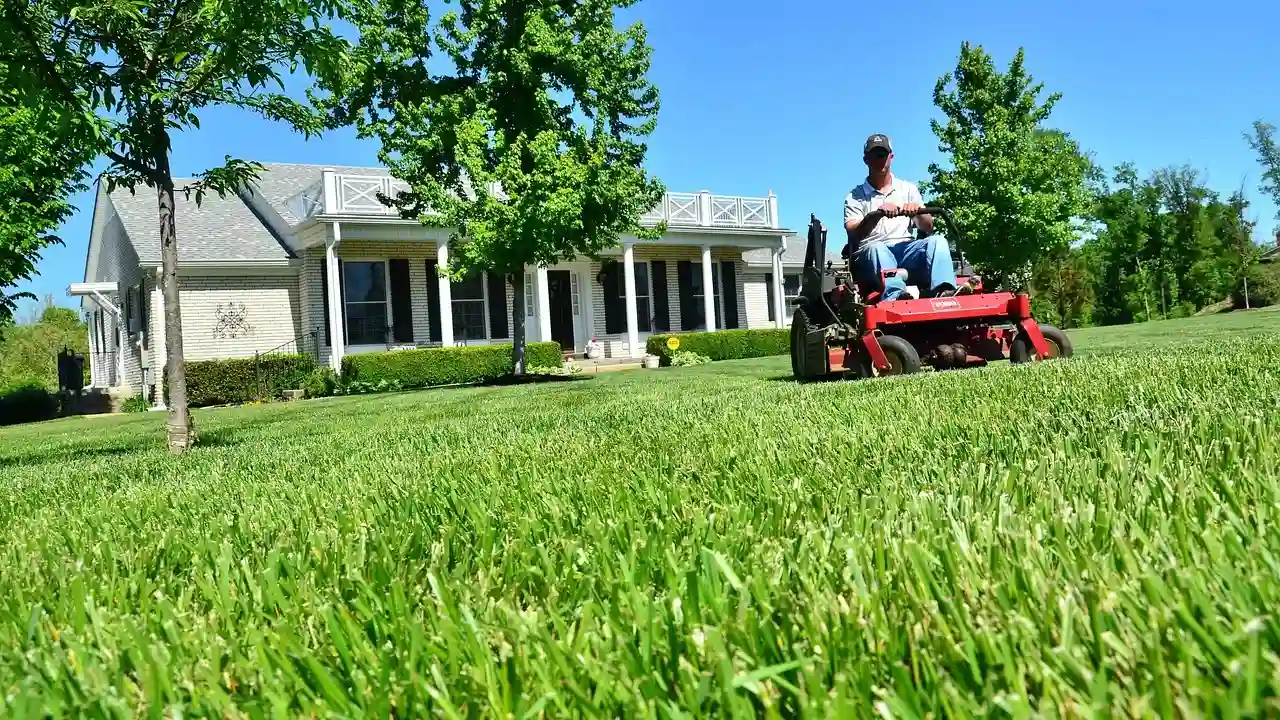 Starting a Lawn Care Business? 50 Lawn Care Business Names