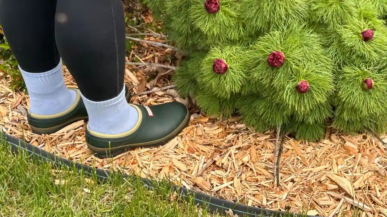 Clogs are perfect for gardening