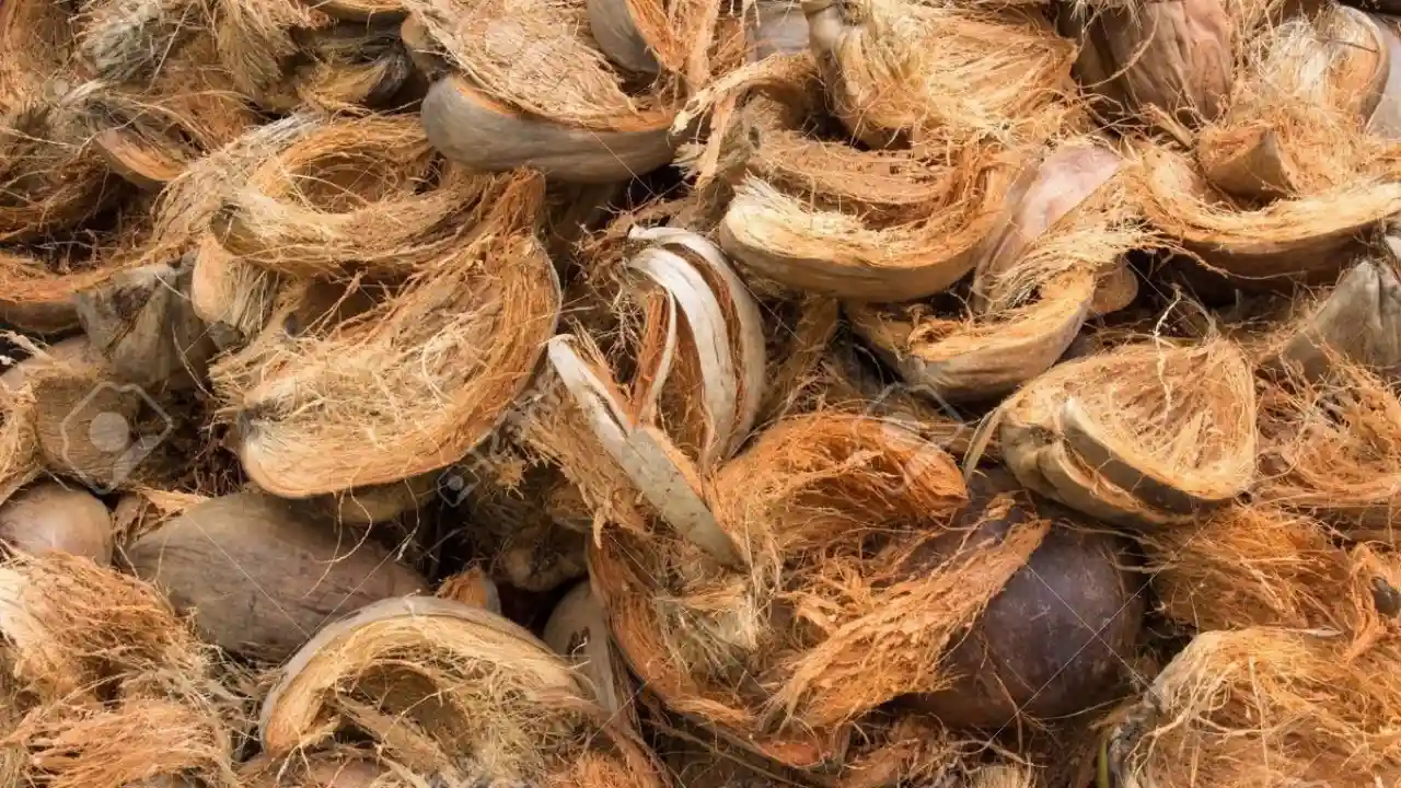 Can You Use Foam as A Hydroponic Growing Medium? 5 Coco Fiber