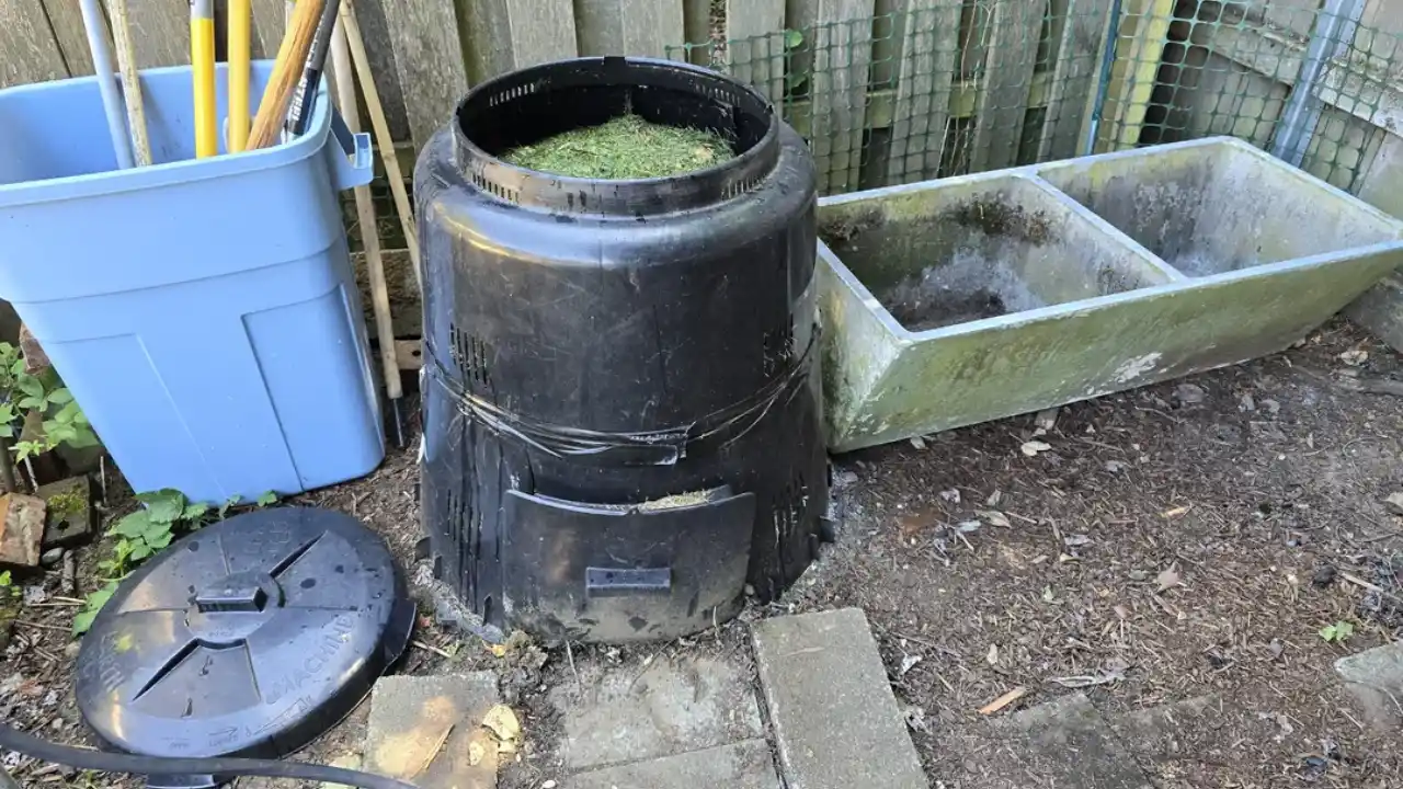 How To Get Rid Of Flies In Compost Bins (Natural And Chemical Options) 1 Compost bins flies problem 1