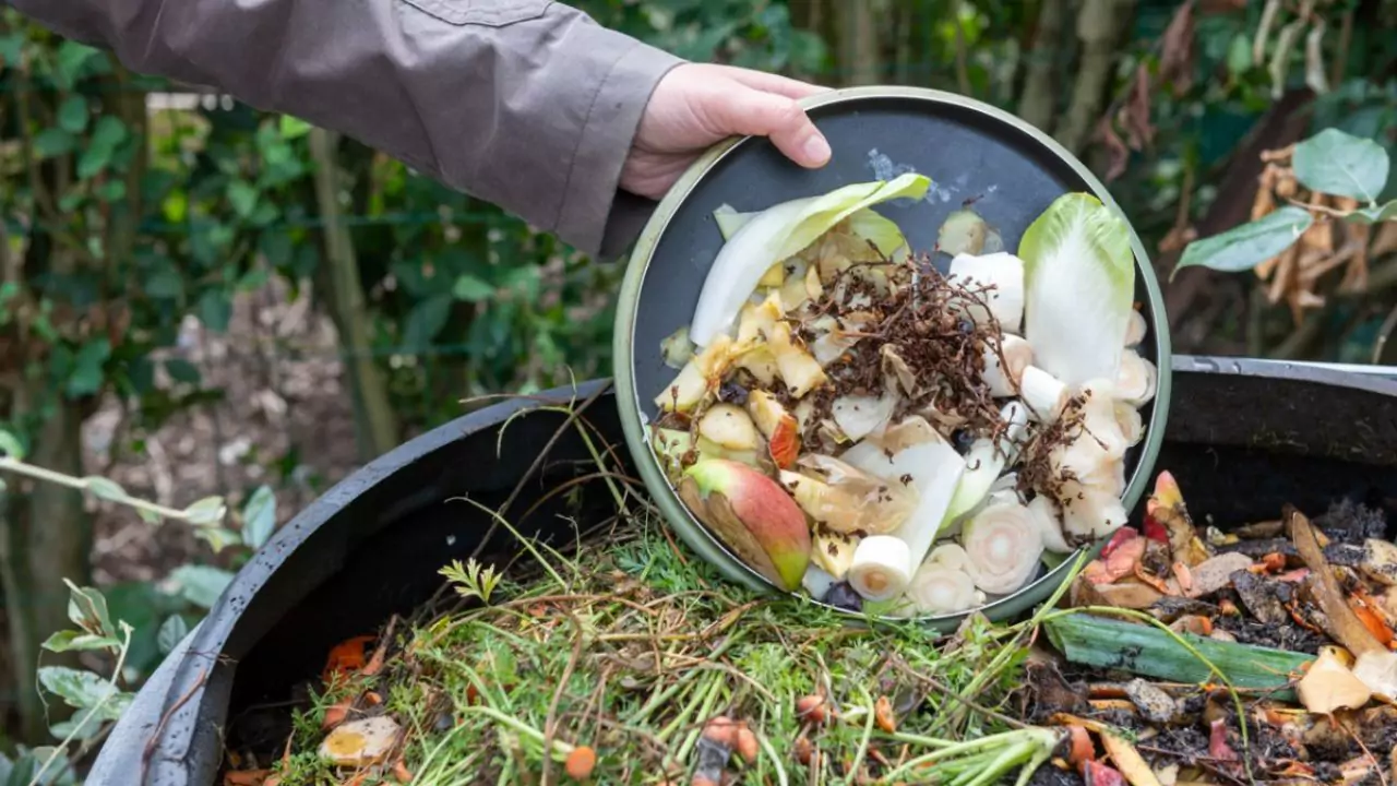 How To Get Rid Of Flies In Compost Bins (Natural And Chemical Options) 2 Compost bins flies problem 2