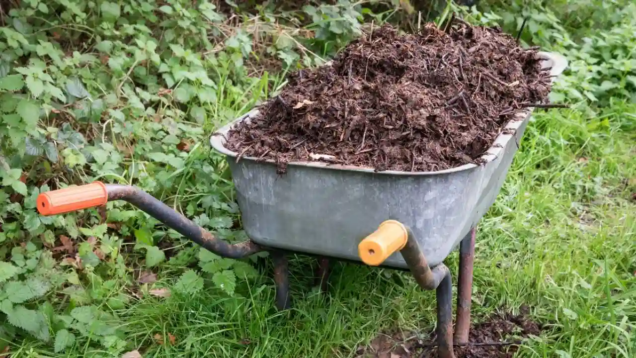 Where to Place a Compost Tumbler 3 Compost tumbler tips