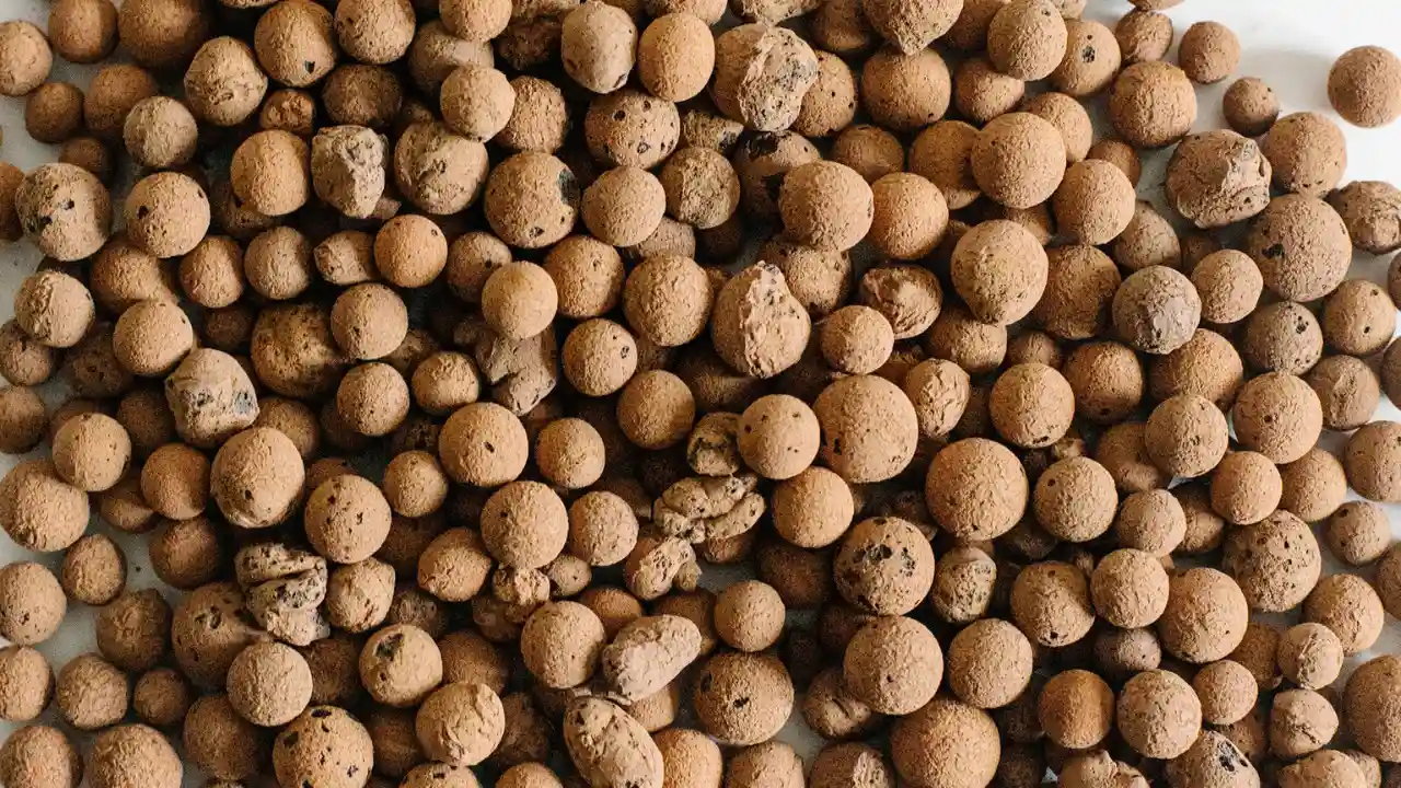 Can You Use Foam as A Hydroponic Growing Medium? 3 Expanded clay pellets