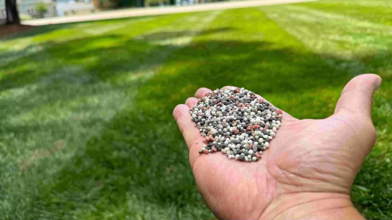 Winter Fertilizer Numbers Explained 3 Fertilizers Essential