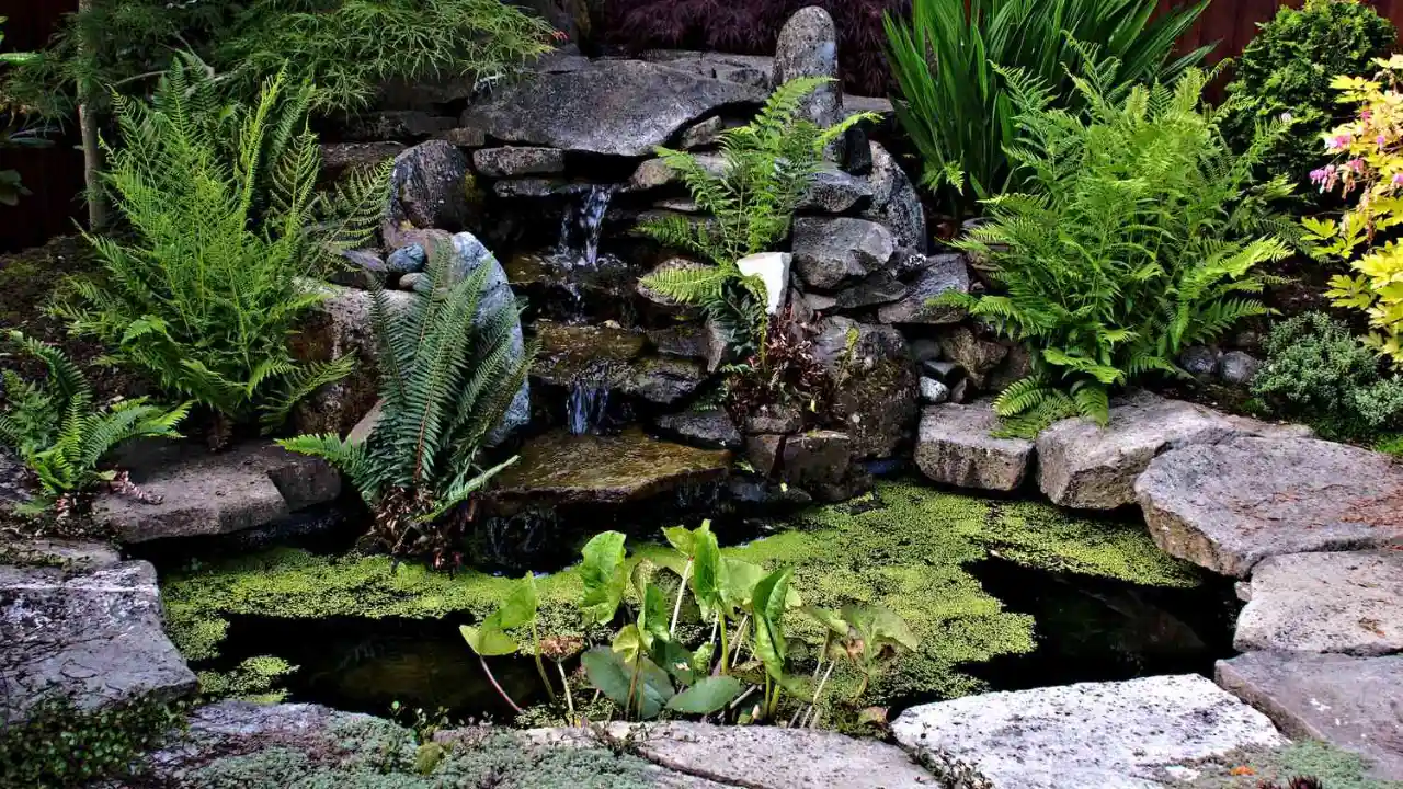 How To Fill A Pond With Water (Complete Guide) 9 Garden pond waterfall