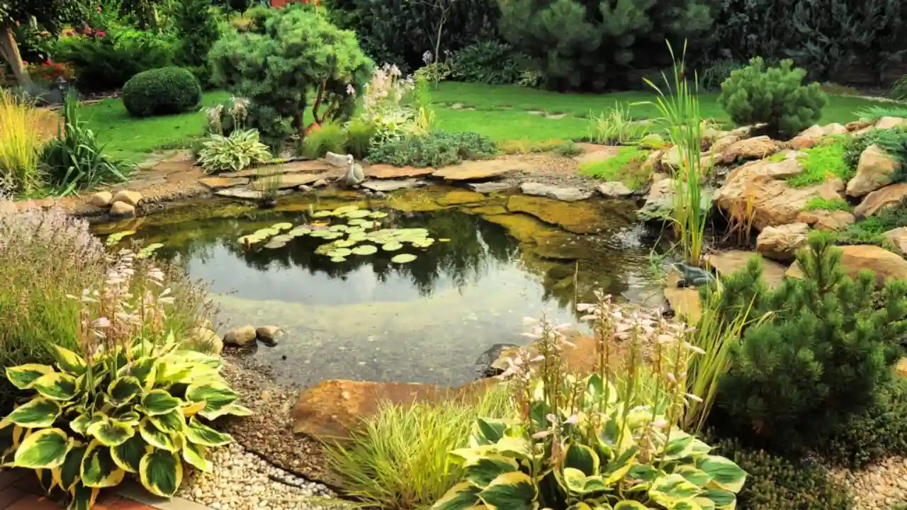 Garden pond