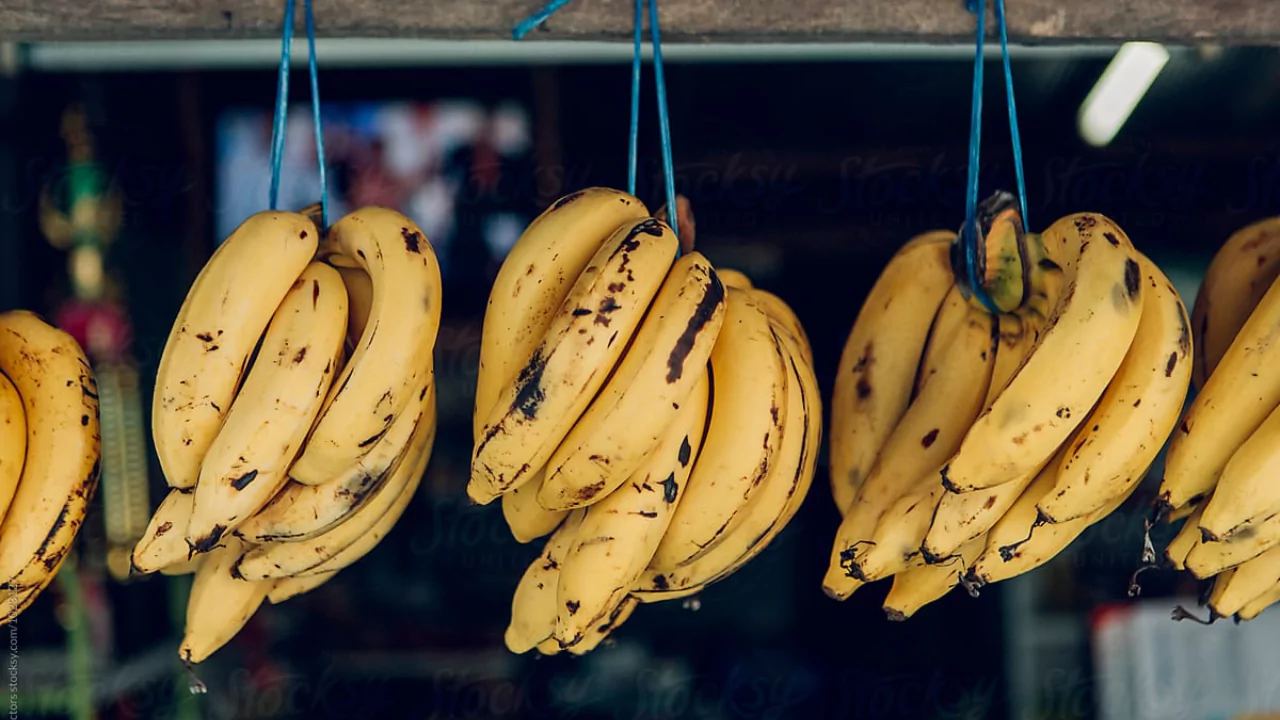 Why Do Organic Bananas Last Longer