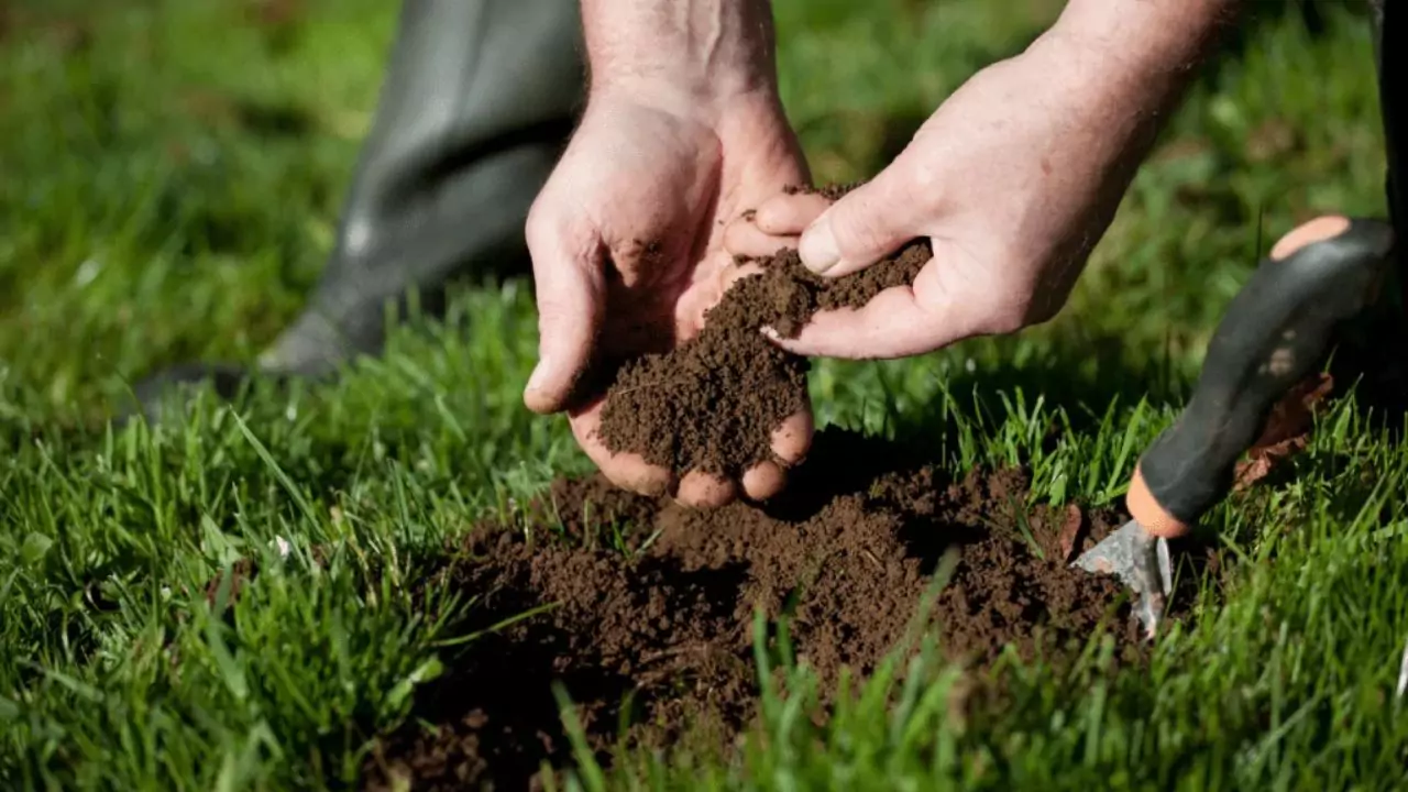 Simple Backyard Ecosystems Anyone Can Build 4 Heathly soil 1