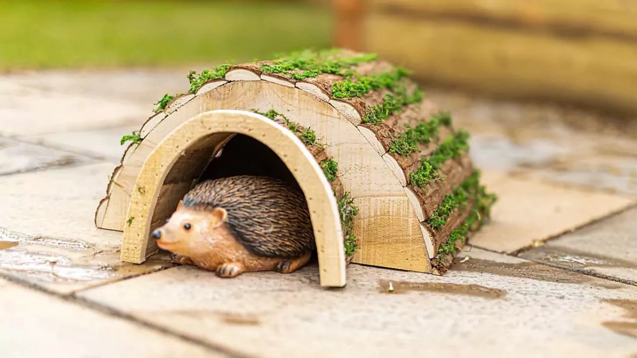 Hedgehog house
