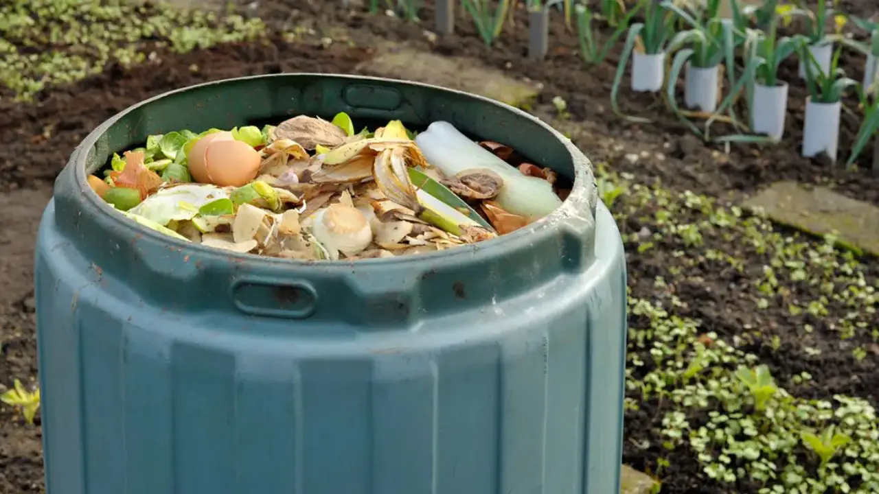 How to Make Homemade Compost Catalyst