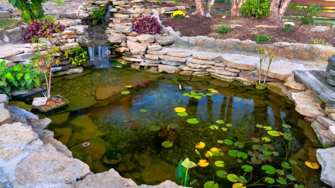 Increase Depth of Your Pond