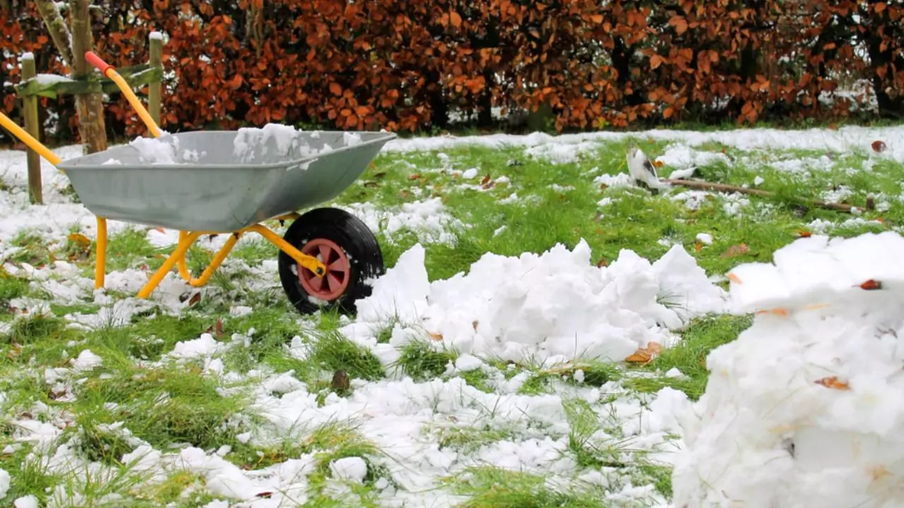 Lawn in cold weather