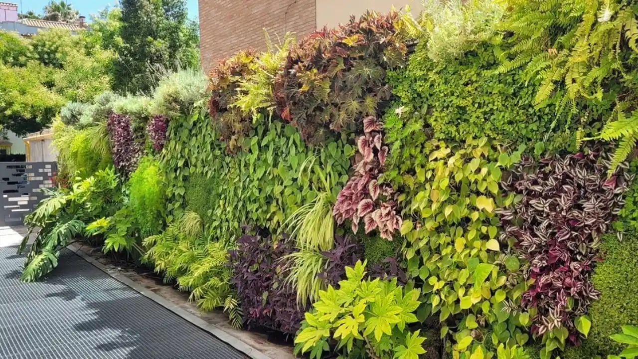 Living garden wall