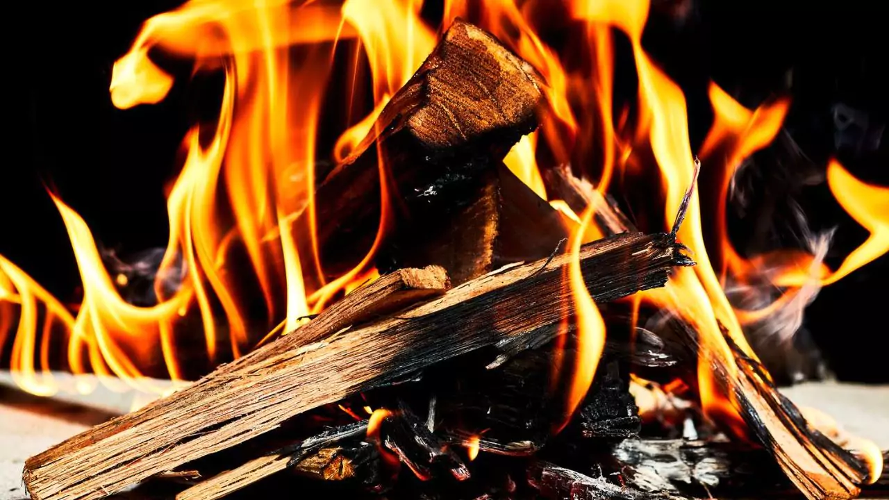 Oak and ash wood for a campfire