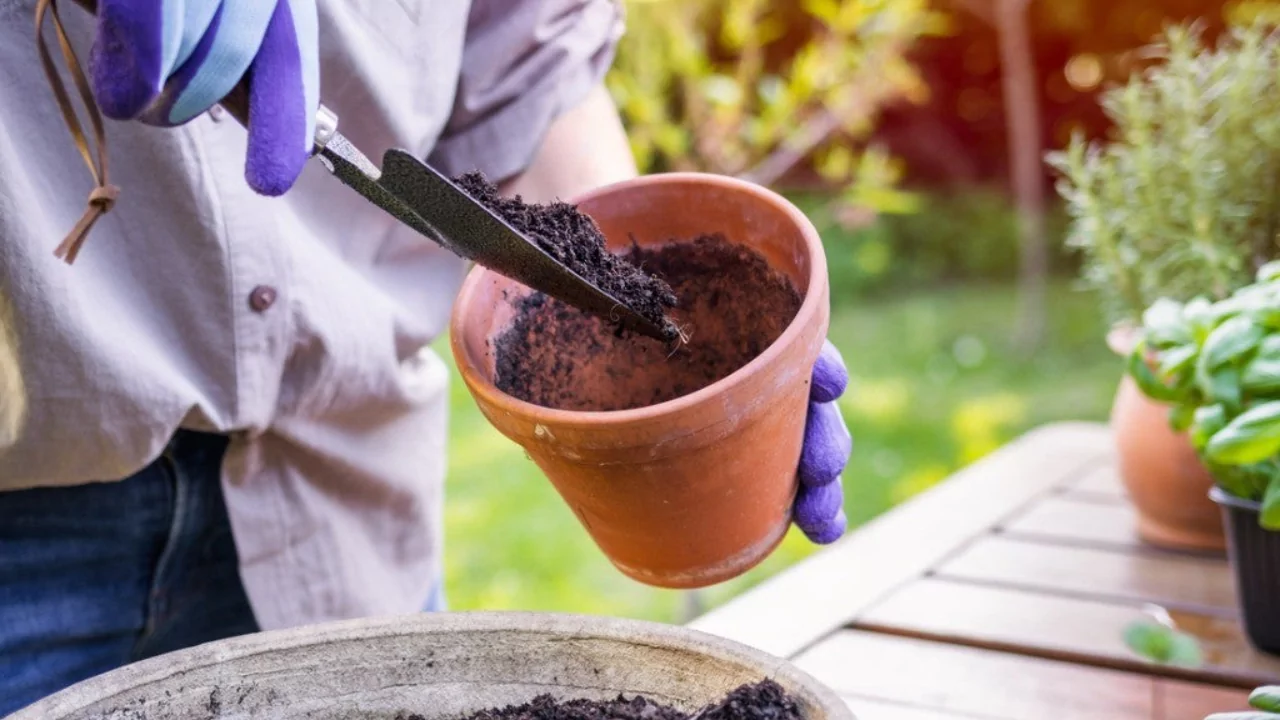 Is Potting Soil Safe to Play In? 1 Playing in potting soil tips