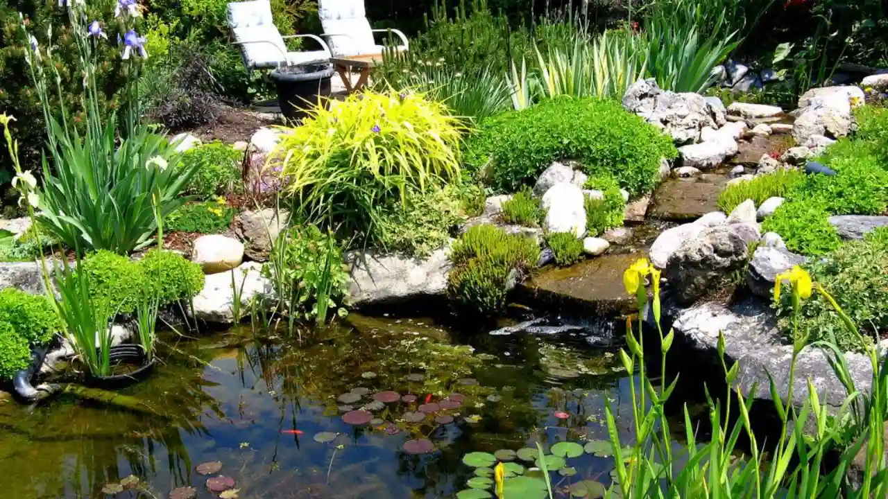 Pond on Higher Ground