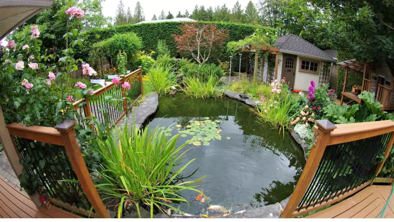 Simple Backyard Ecosystems Anyone Can Build 6 Ponds